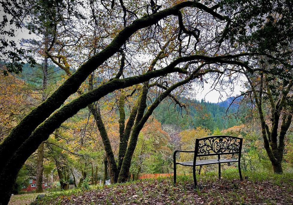 Avenue Of The Giants Pepperwood Place Miranda 외부 사진